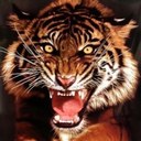 Jeff Duvall - @lyshumm87 - Twitter