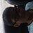 aphin_chung's profile image