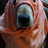 anpon21's profile image
