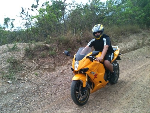 lucianogouveia's profile picture. Perfil de curioso para ver as besteiras do twitter