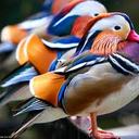 Emma Delgado - @ema_17d - Twitter