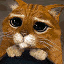 dora becerra  - @doralbm - Twitter