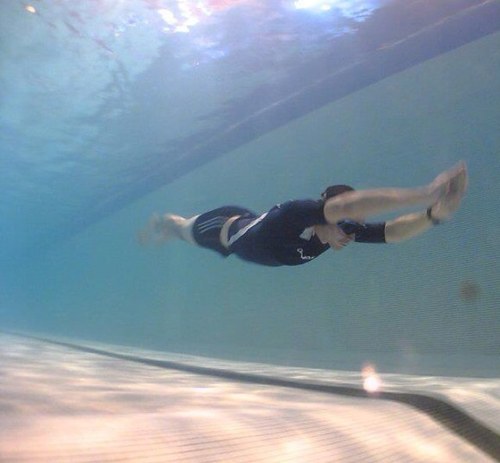 chezfroggy's profile picture. 