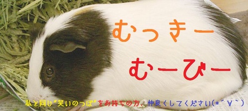 動画紹介サイトです。無数にある動画の中から興味を引くような動画をご紹介します。