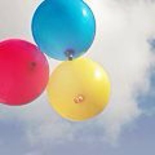 hananx9's profile picture. 