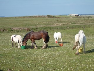 imack2078's profile picture. 