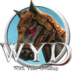 WYD_Global's profile picture. With Your Destiny II is a free full 3d MMORPG that embarks on one’s dream in fulfilling his destiny.