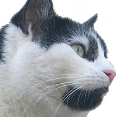 Profile Picture of Richard Broom (@Rich_Broom) on Twitter