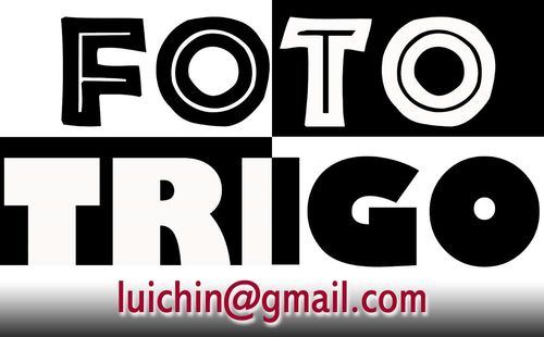 fototrigo's profile picture. Fotógrafo, y Runner cuando el cuerpo lo permite...