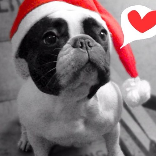 jadesmiddy's profile picture. 