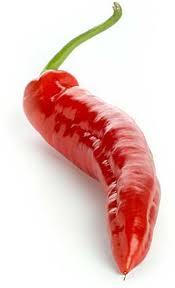 We are a adult site selling adult toys, clothing and paraphenalia to the masses cheaper than leading similar companys.