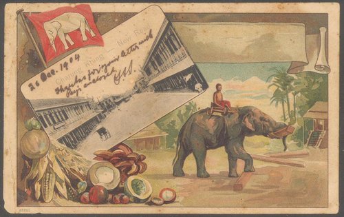 E-Learn Thai helps tourists, expats, and English teachers learn Thai language & Thai culture with free online lessons in colloquial Thai, Thai slang & more.