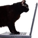 Pam Huff - @mrshuffstuff - Twitter