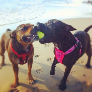 doughnutsforme's profile picture. 