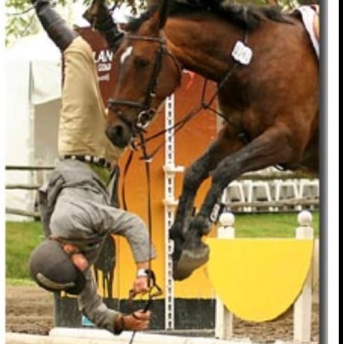 IEAStruggles's profile picture. creating the best catch riders since 2002. if you cant handle it, get out of the ring. the original twitter for iea problems ✌