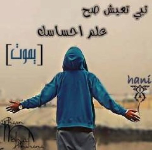 AaAaAa501's profile picture. 