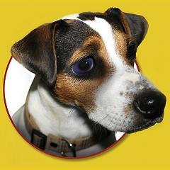 Dino2002's profile picture. 