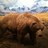 johnfitz55's profile image