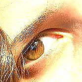 fefagundes's profile picture. English Teacher