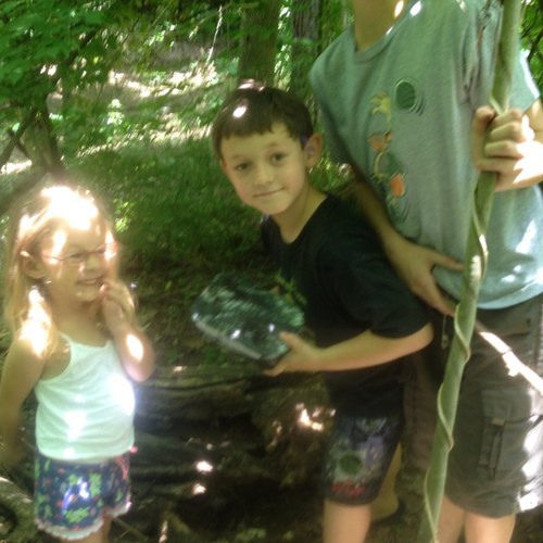 blublusea's profile picture. 