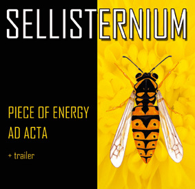 SELLISTERNIUM is a female fronted metal / art rock with some influence of gothic, prog rock & folk.