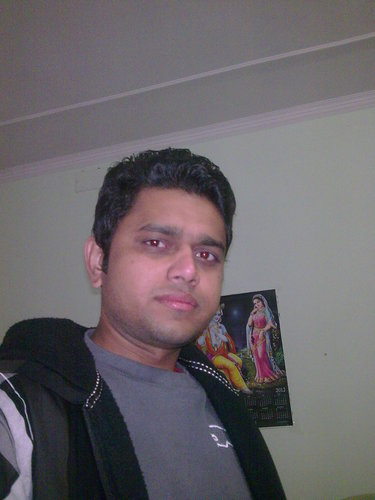 I am working in SEO.