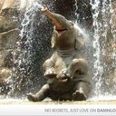 Beth Paulus - @DumboFlys4Ever - Twitter