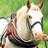 Bywater_Holiday's profile image