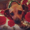 Krystal Thorne - @ImKrystalT - Twitter