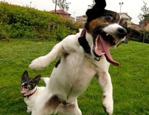 Apenas para seguir e ser seguido...na maior loucura de dois caras crazy...kkkkk sigam para entrar nessa loucura...
