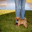 Andrea Bean - @andreabean11 - Twitter