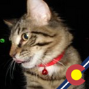 pman_jim's profile picture. 