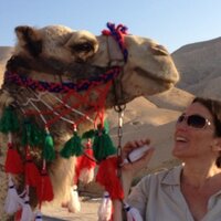 Sinai Rusinek (@sinairusinek) 's Twitter Profile