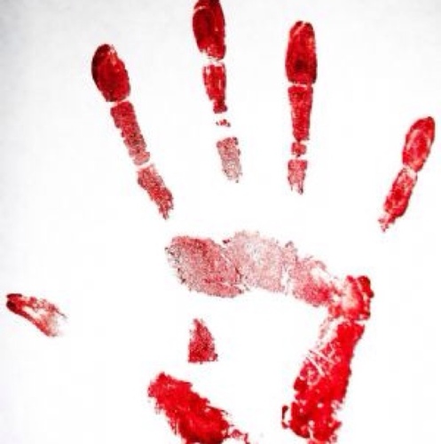 ResistancEcolo's profile picture. Nous dénonçons chaque personne ou organisme portant atteinte à l'environnement ou à la condition animale ! #résistance #écologique le combat ne s'arrêtera pas !