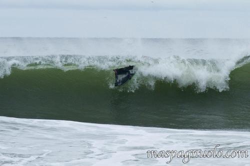 son681's profile picture. bean counter