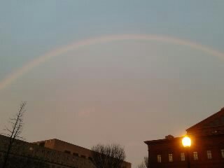 Colleen00946790's profile picture. 