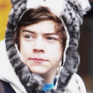 NiamCarrots94's profile picture. In Love with Harry Styles, Louis Tomlinson, Liam Payne, Niall Horan, and Zayn Malik. Nuff Said. Follow Me on Instagram: @ahhh_the_lighttt