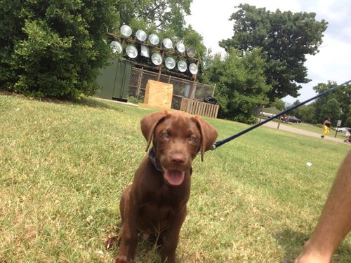 SuzyThomason's profile picture. 