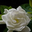 janet williams - @janet2013 - Twitter