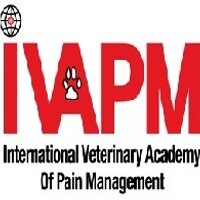 IVAPM (@ivapm) 's Twitter Profile