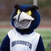 Shadow (@mu_shadow) Twitter profile photo