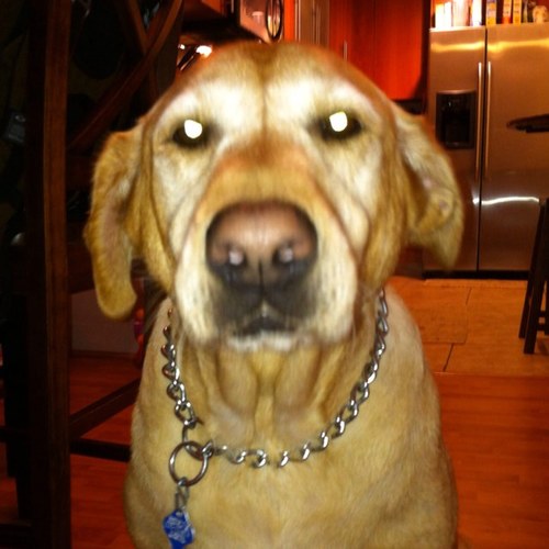 rudyrda's profile picture. Do or do not...there is no try.