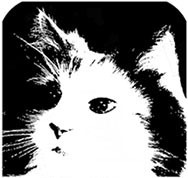 CatClayRoc Profile Picture