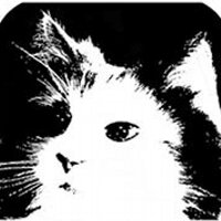 CatClayRoc (@catclayroc) 's Twitter Profile