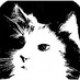 CatClayRoc (@catclayroc) Twitter profile photo