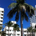 Lena Millard - @LenaMillard - Twitter