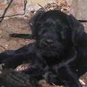 Katie Slade - @KatieSlade21 - Twitter