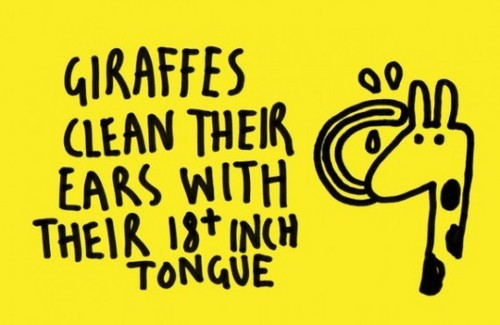 Follow for amazing facts