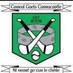 Caiseal Gaels (@CaisealGaels) Twitter profile photo