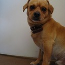 Sim Villalobos - @SabinaSimBee - Twitter